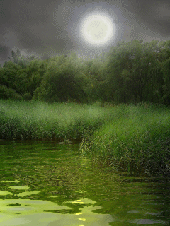 Animated moonlit pond illustration from the original Ray and M website